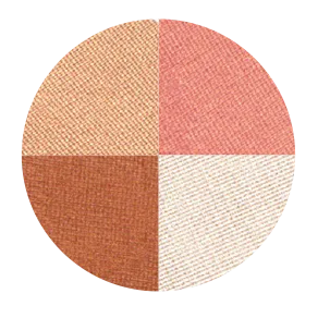 Blush Makeup Cosmetics Quattros