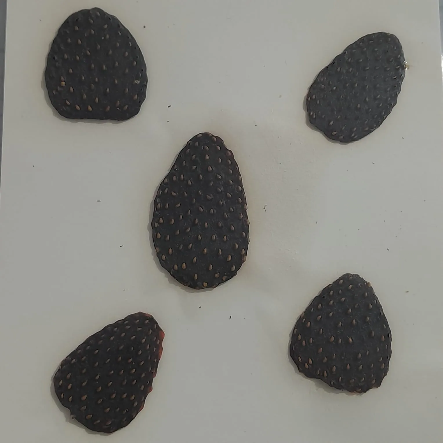 Pressed Fruits
